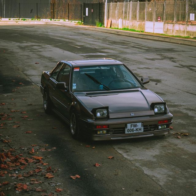 Image of Lotus
